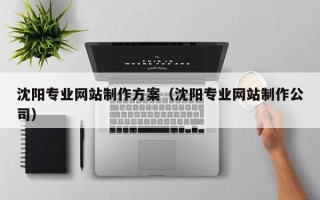 遂宁沈阳专业网站制作方案（沈阳专业网站制作公司）